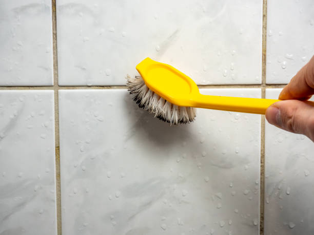 Best Same-Day Mold Removal  in River Ridge, LA